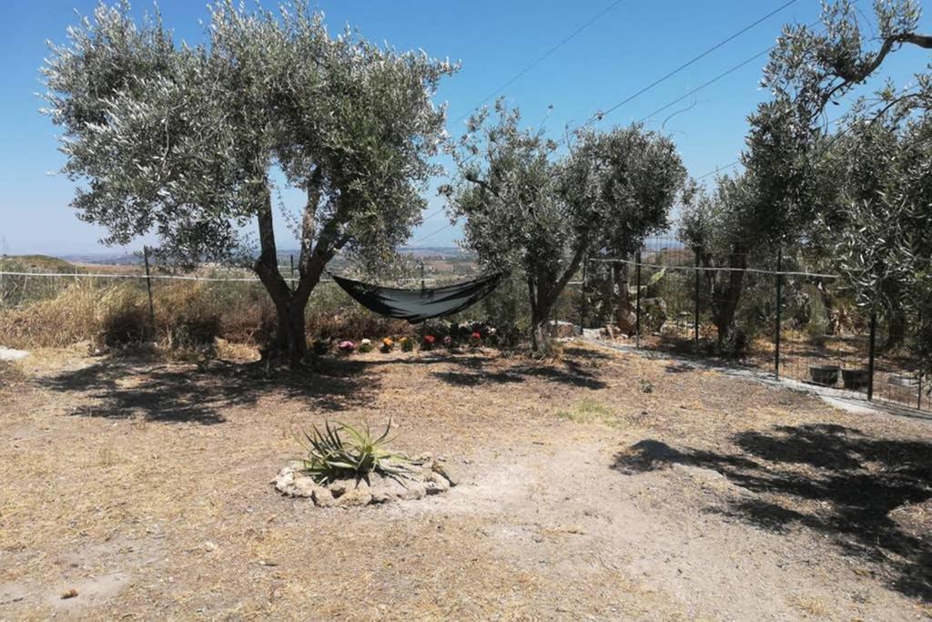 Villa Emma Con Panorama Etna A 10 Minuti Dal Mare Lentini Kültér fotó