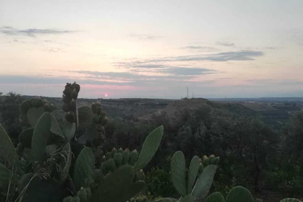 Villa Emma Con Panorama Etna A 10 Minuti Dal Mare Lentini Kültér fotó